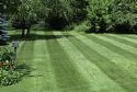 liberty_grass.jpg